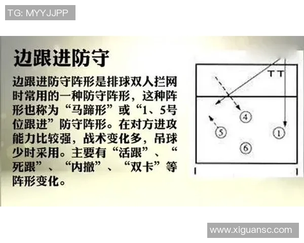 南京排球队反击战术深度解析与实战应用探讨