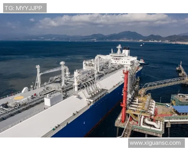 城市赛分析：LNG在关键时刻的心理素质与表现评估