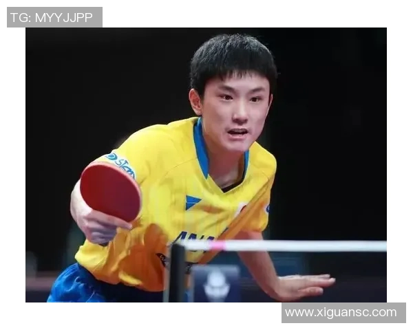 杭州乒乓球队状态飙升创历史新高引发广泛关注与期待