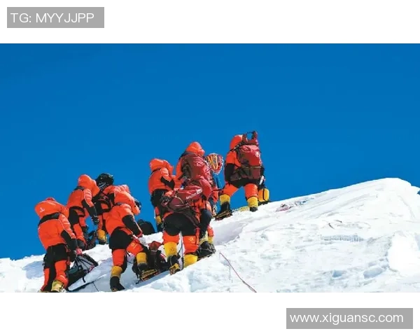 西安飞盘队强势登顶最新飞盘状态TOP10榜单引发热议