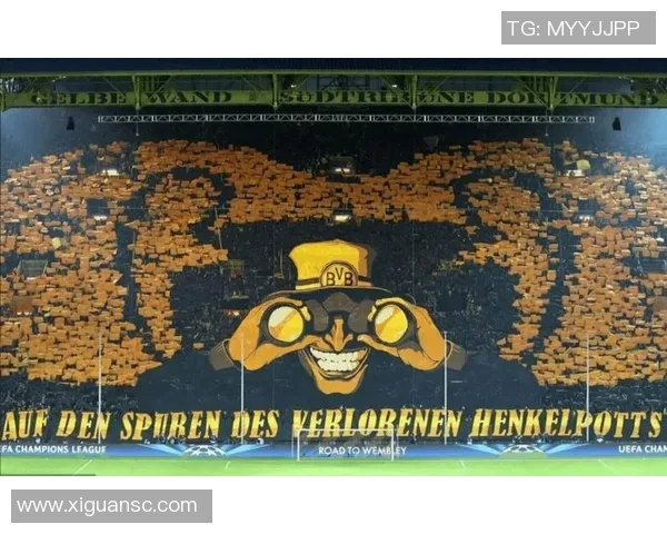 多特蒙德对柏林联合精彩直播全程回顾与分析