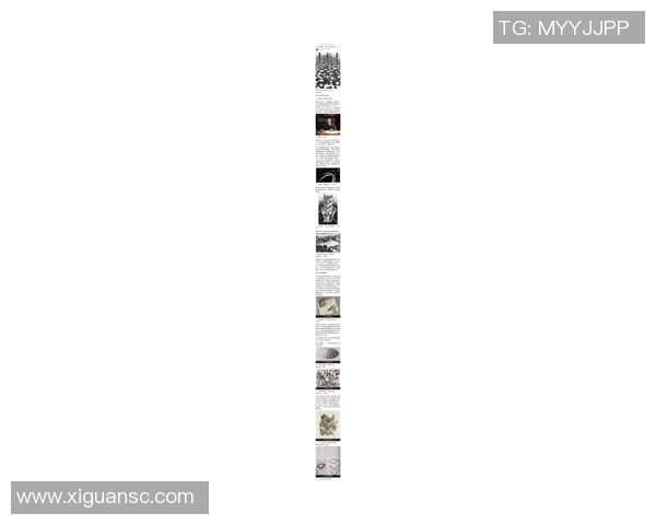 探索索博斯洛伊的历史与文化魅力揭示其在现代社会的影响与价值