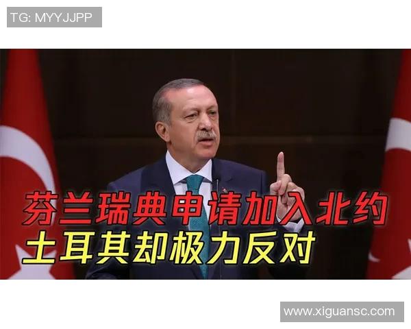 瑞典与土耳其对决分析及笔者推荐策略详解