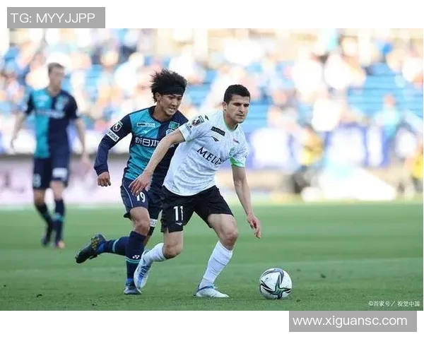 福冈黄蜂大宫松鼠激战即将开启球迷热情高涨期待精彩对决