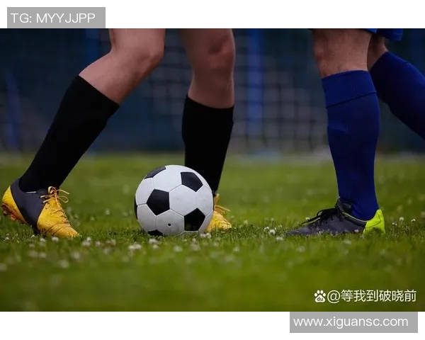 黄蜂与热火夏季联赛精彩对决球员表现引发球迷热议